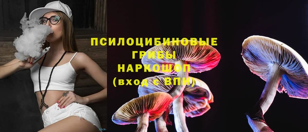 прущая мука Козловка