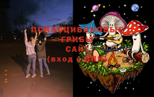 прущая мука Козловка