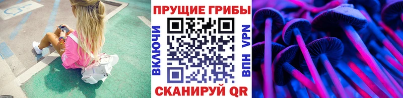 Купить закладки  Данилов  Галлюциногенные грибы ЛСД 